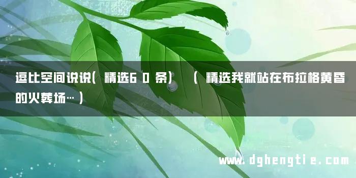 逗比空间说说（精选60条） （精选我就站在布拉格黄昏的火葬场…）